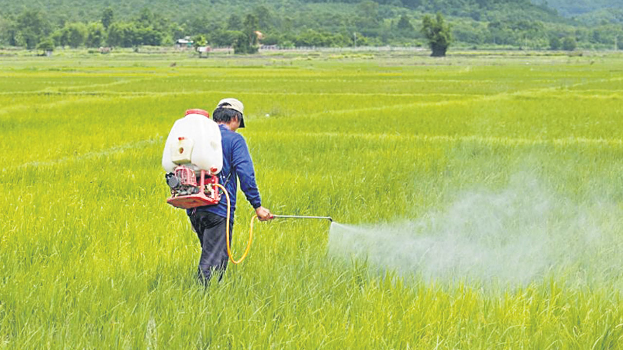 సేంద్రియ సాగు దిగుబడులు బాగు
