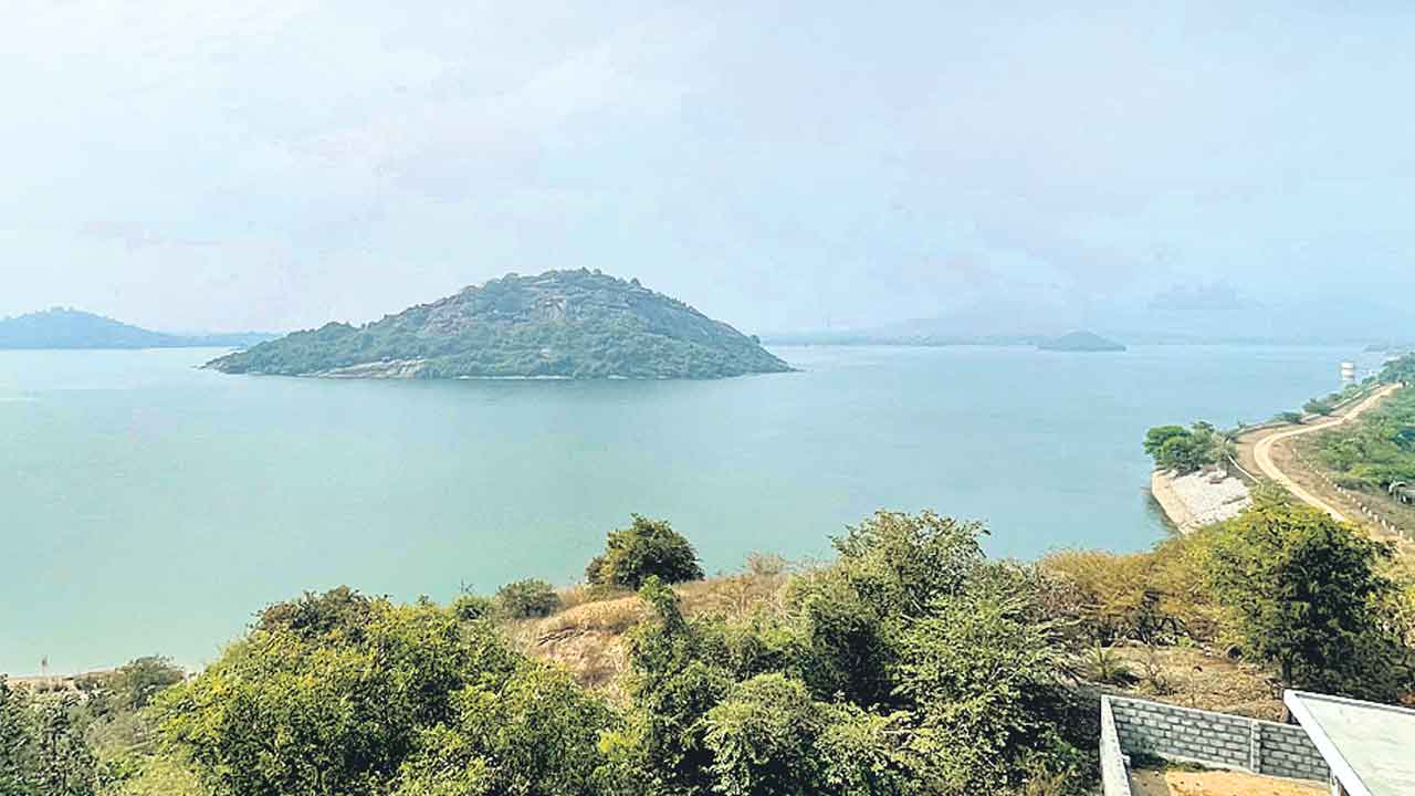 Devadula Project | దేవాదుల కింద సస్యశ్యామలం.. కేసీఆర్‌ ప్రభుత్వ చొరవతో పుష్కలంగా సాగునీరు