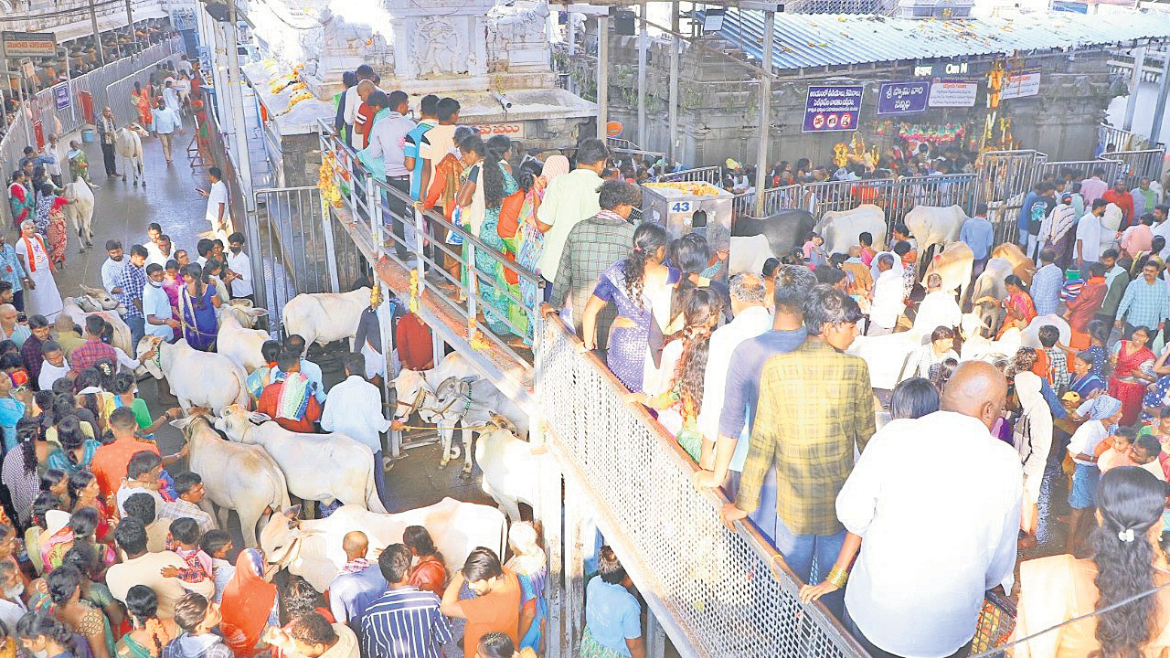 రాజన్న సన్నిధికి అరవై వేలకుపైగా..