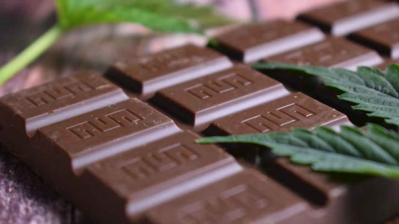 యూపీ నుంచి 560 గంజాయి చాక్లెట్లు