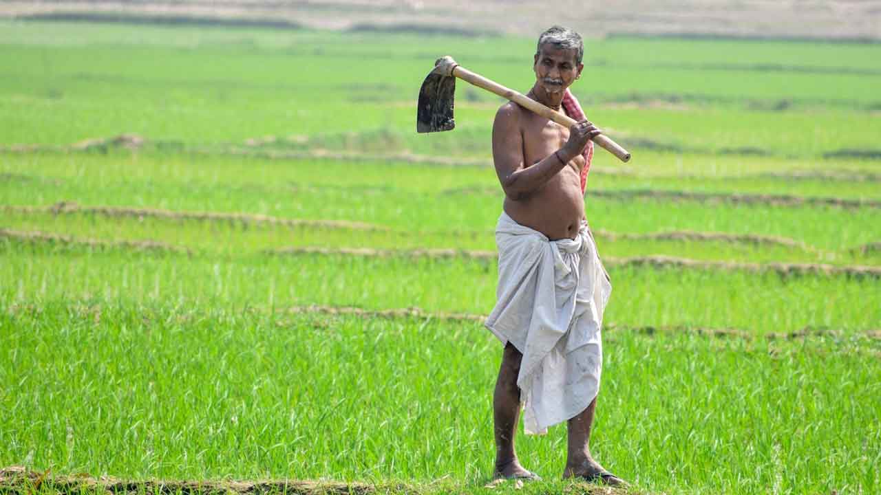 కౌలు రైతులకు భరోసా ఎట్లిస్తరు?