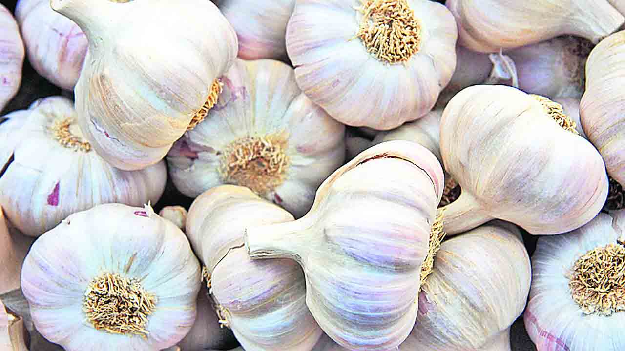 Garlic Benefits | పరగడుపునే వెల్లుల్లి కలిపిన నీటిని సేవిస్తే సరి.. బోలెడు బెనిఫిట్లు.. !