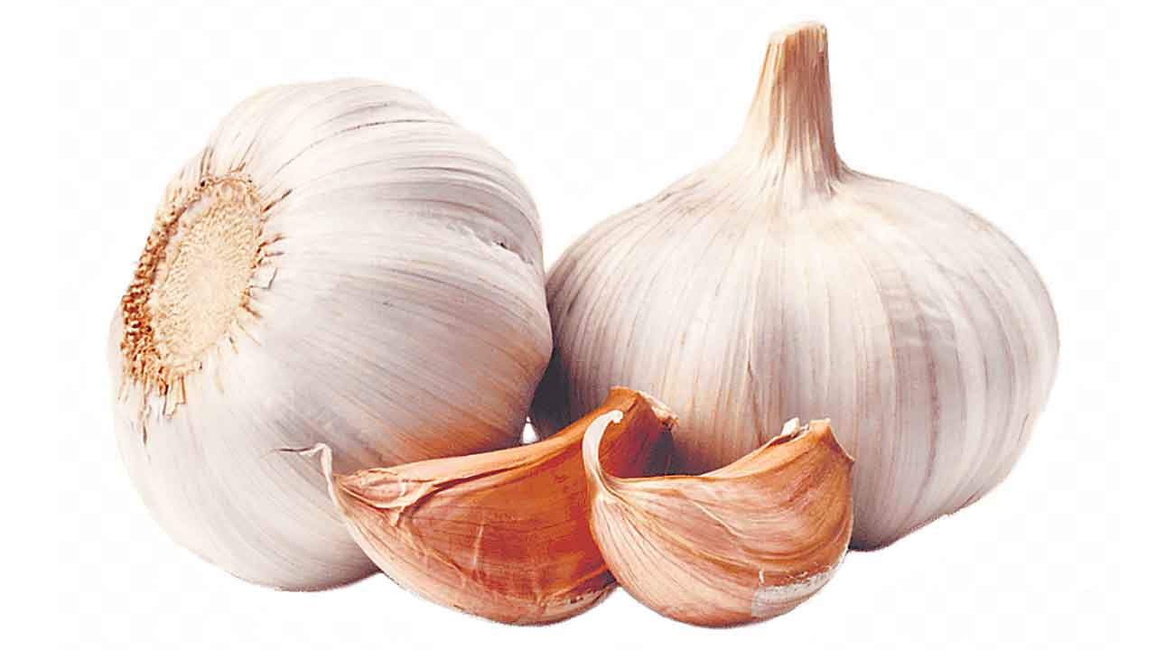 Health Tips | పరగడుపున వెల్లుల్లి తింటే ఇన్ని ప్రయోజనాలు ఉన్నాయా ?