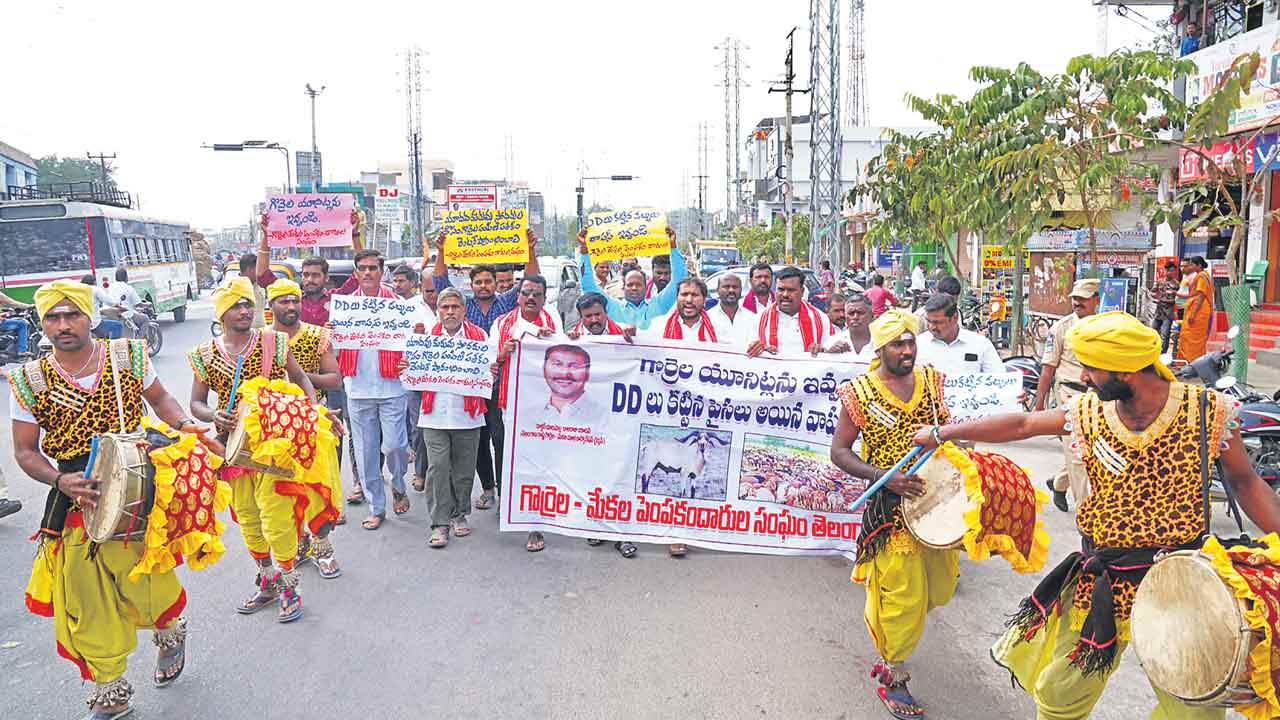 గొల్లకురుమలకు సబ్సిడీ గొర్రెలు ఇవ్వాలి