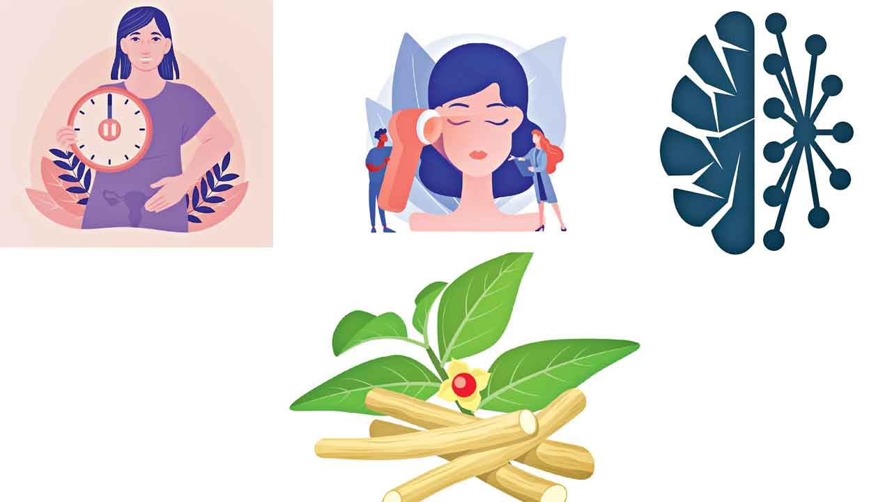 Health Tips | ఆరోగ్యరంగంలో సరికొత్త ట్రెండ్స్‌.. 2024లో అశ్వగంధదే అగ్రపీఠమా ?