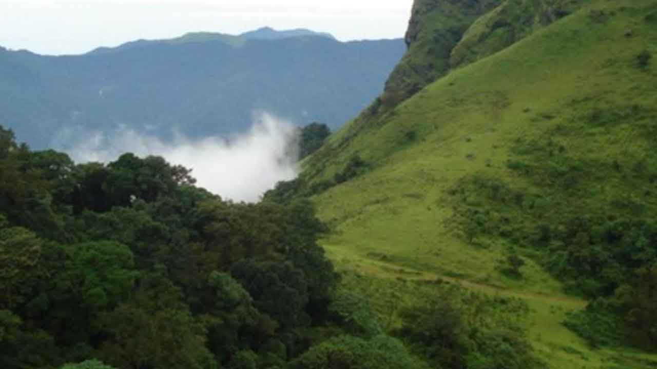 Sanjeevani | సంజీవని దొరికేసిందా?!.. హిమాలయ సంజీవని ఔషధ మొక్కపై కొనసాగుతున్న పరిశోధనలు