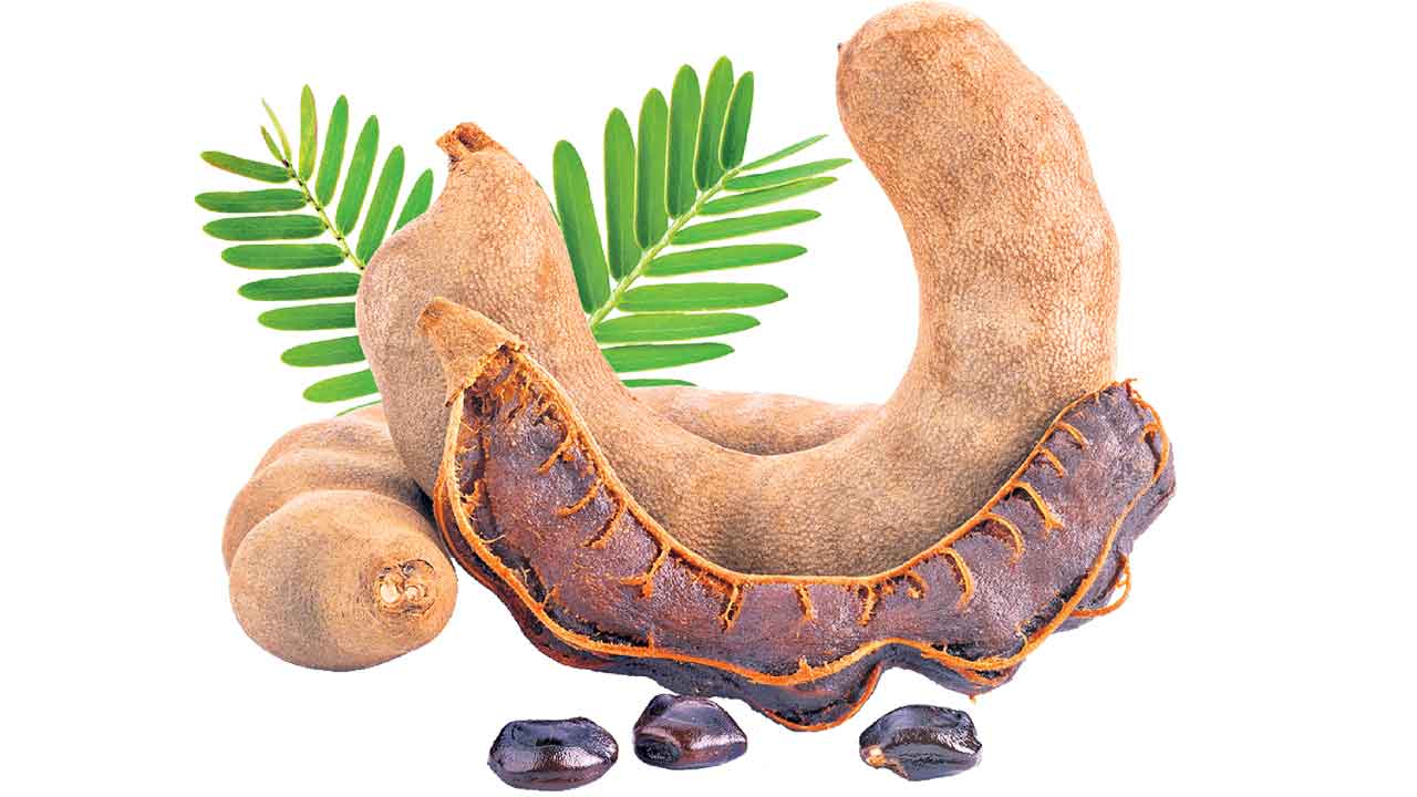 Health Tips | చింతపండులో ఇన్ని ఔషధ గుణాలున్నాయా ? క్యాన్సర్‌ను కూడా.. !