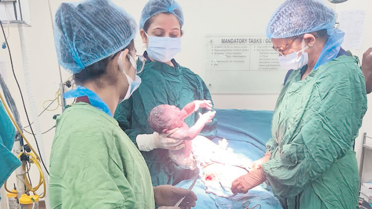 ఆగని కడుపు‘కోత’లు