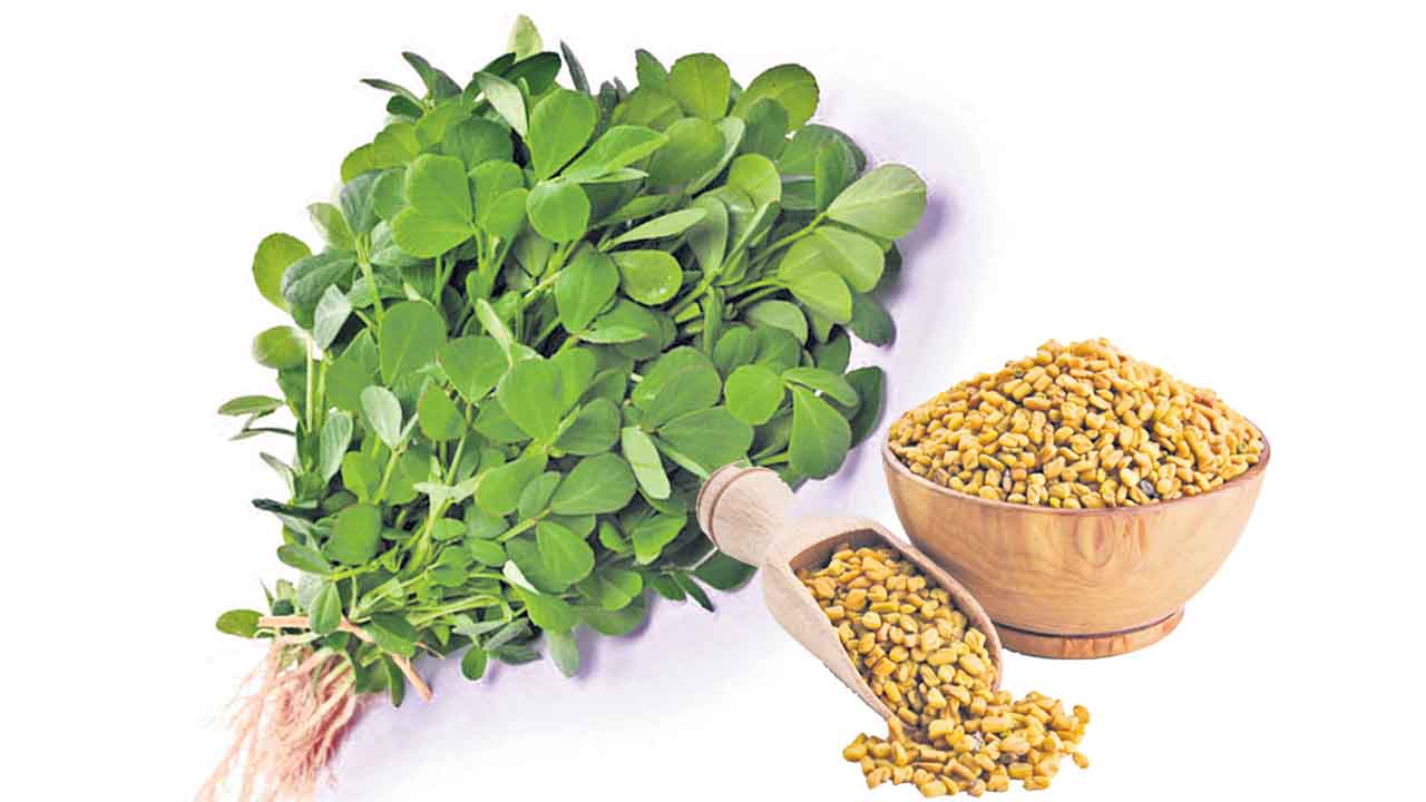 Health Tips | ఆడవాళ్లు మెంతులు తింటే ఎన్ని లాభాలో తెలుసా!