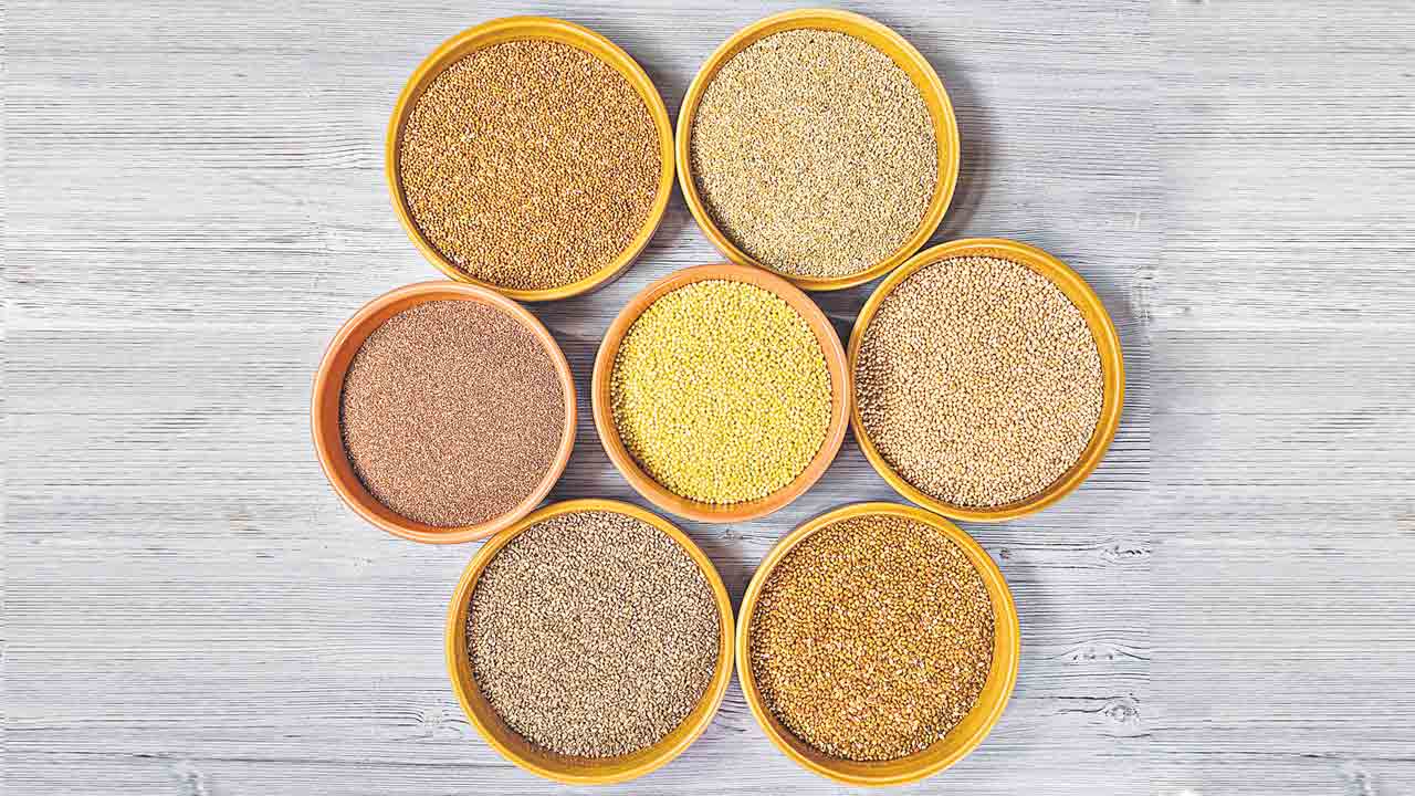 Millets | చిరుధాన్యాల వైపు 70% జనాభా.. పెరుగుతున్న వినియోగం.. ఎన్‌ఐఎన్‌ అధ్యయనంలో వెల్లడి