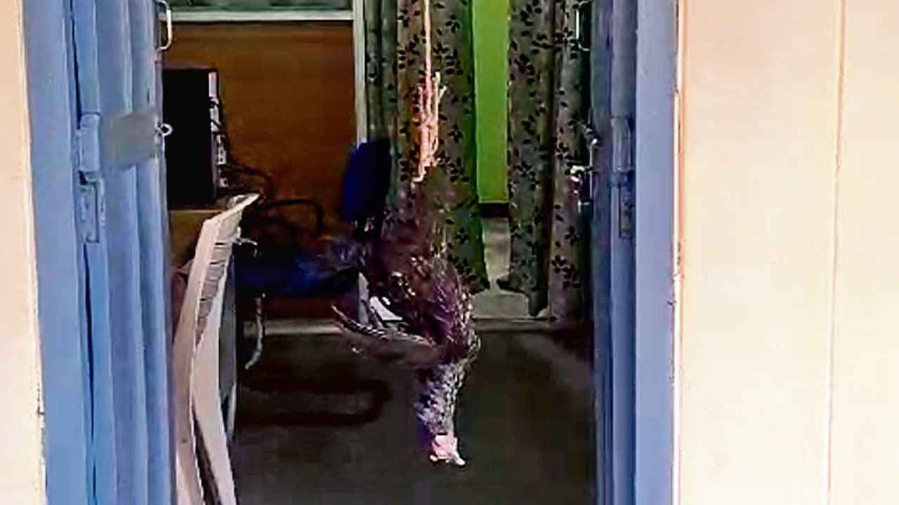 Viral news | కుక్కల దాడిలో చచ్చిన కోడి.. మున్సిపల్‌ ఆఫీస్‌ గుమ్మానికి వేలాడదీసి యజమాని నిరసన..!