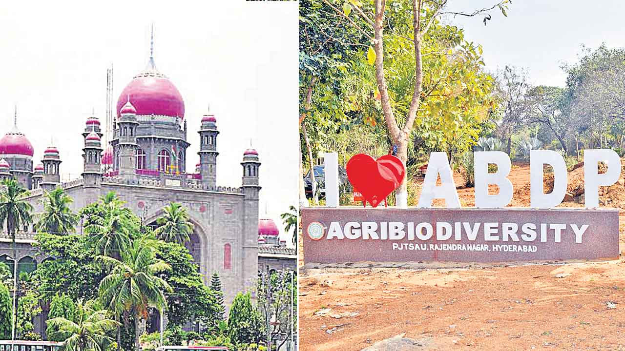 High Court | హైకోర్టు బుద్వేల్‌కు.. ప్రభుత్వ నిర్ణయంపై పర్యావరణవేత్తల ఆందోళన