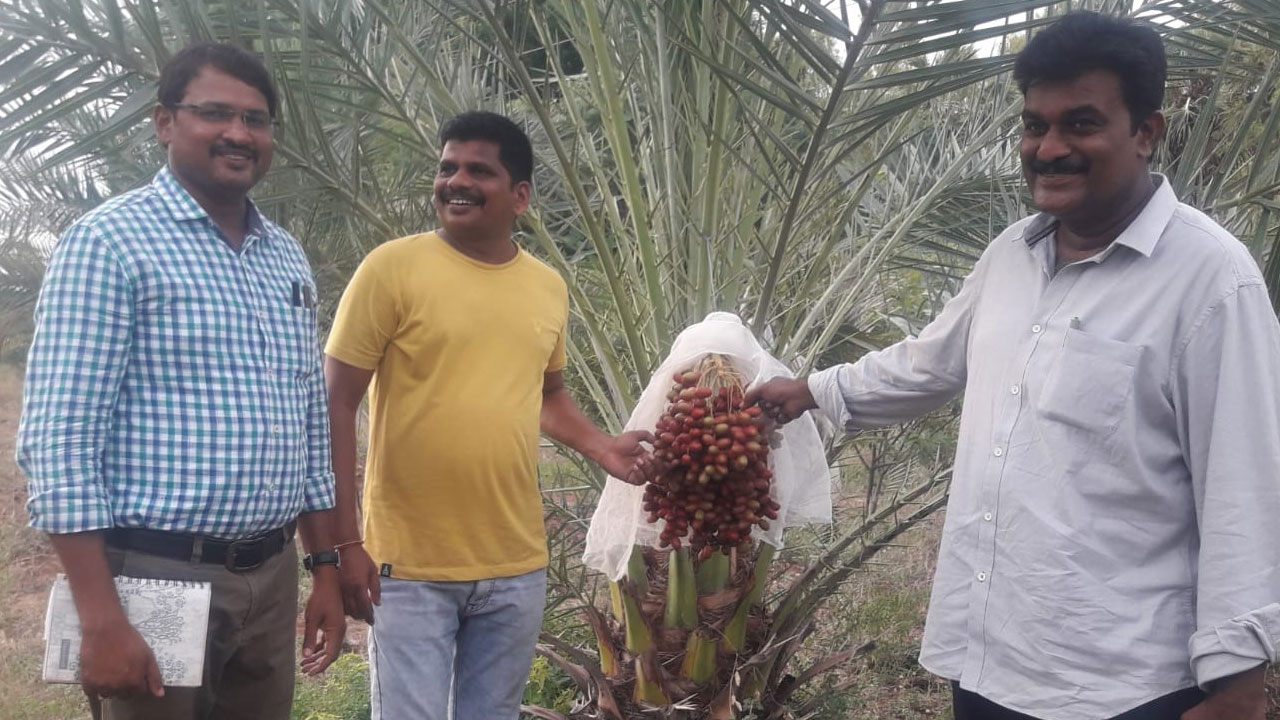 రైతన్న చూపు.. కొత్త పంటల వైపు