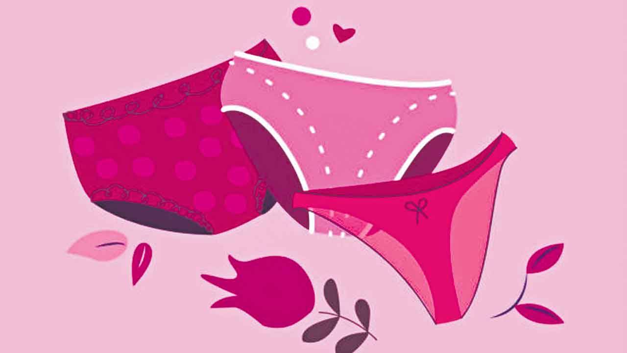 Health Tips | నెలసరి అవసరాల కోసం.. ఆ ప్యాంటీలు వాడొచ్చా?