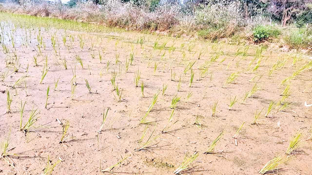 మొదలైన కరెంట్‌ కష్టాలు