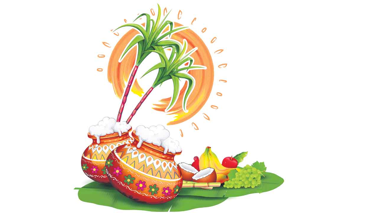 Sankranti | సంక్రాంతి స్వాగతం.. శిశిరంతో పాతనంతా పాతరపెట్టి వసంతంతో కొత్తదనాన్ని అందించే భానుడు