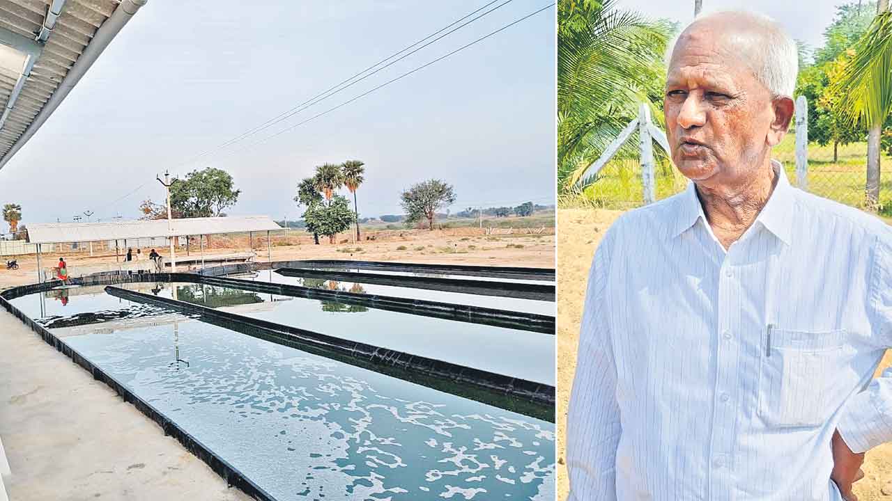 Agriculture | సముద్రపు నాచుతో సంపద.. ఉప్పు నీటితో స్పైరునిలా పౌడర్‌.. వనపర్తి వాసి వినూత్న కృషి