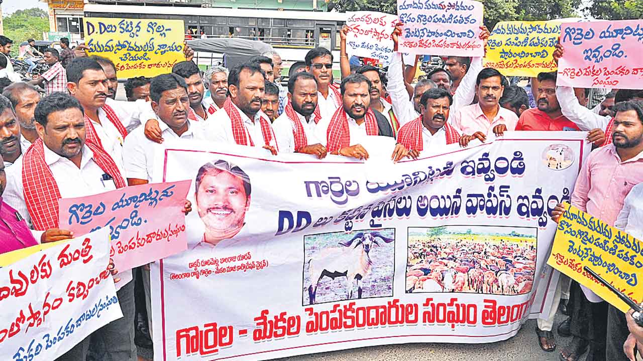 Sheep Distribution | గొల్ల కుర్మల బతుకుల్లో మార్పు.. రెండో విడత గొర్రెలు ఎక్కడ?