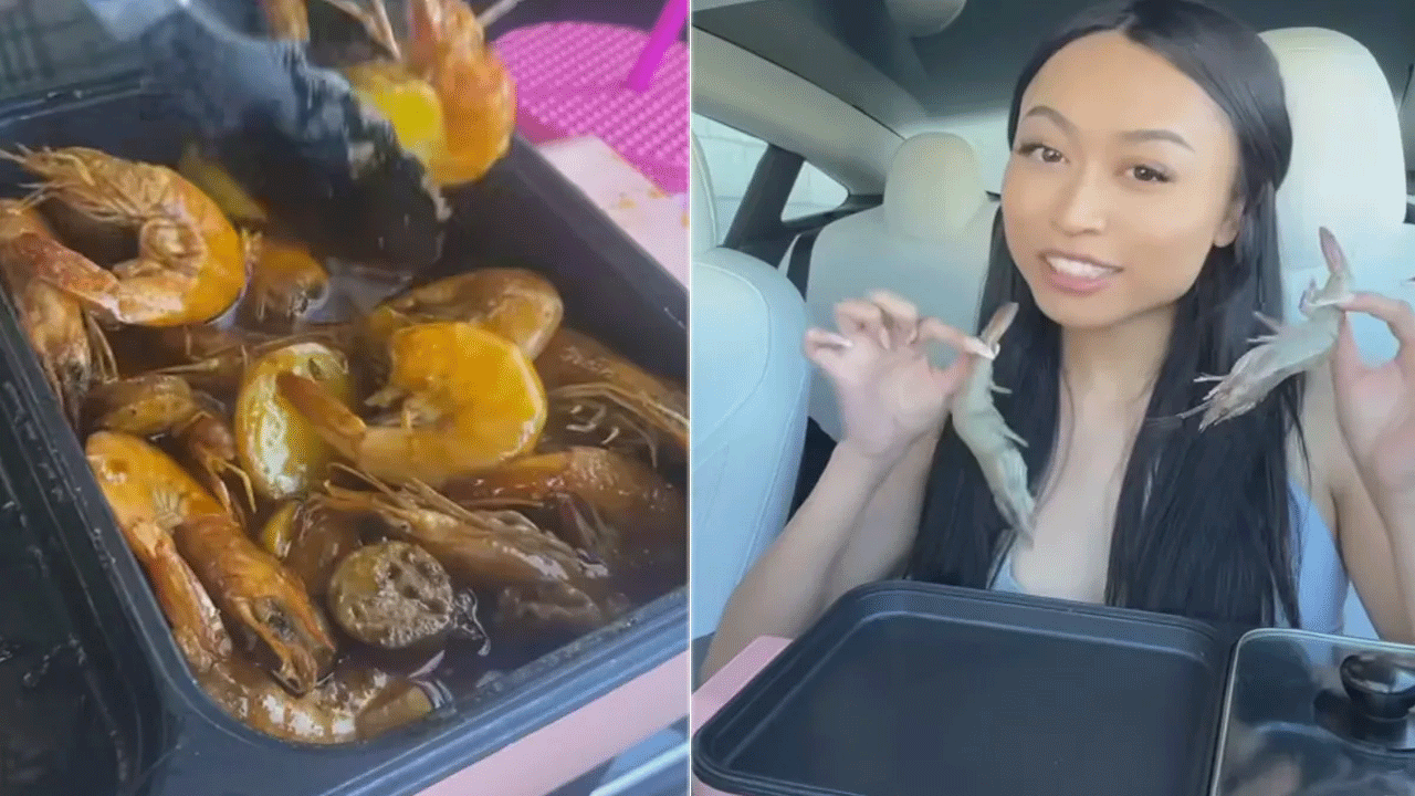 Viral Video | టెస్లా కారులో సీఫుడ్ రెడీ చేసింది