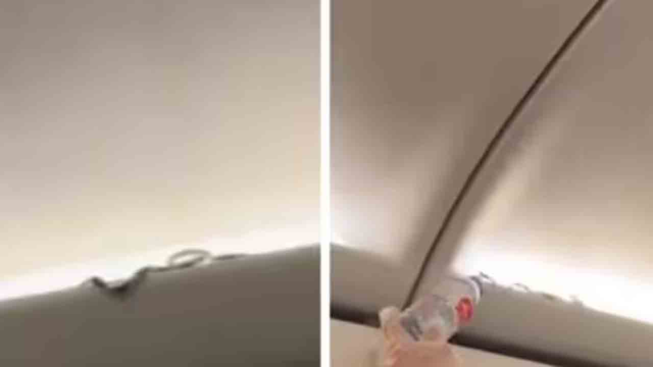 Watch: విమానంలో పాము.. తర్వాత ఏం జరిగిందంటే?