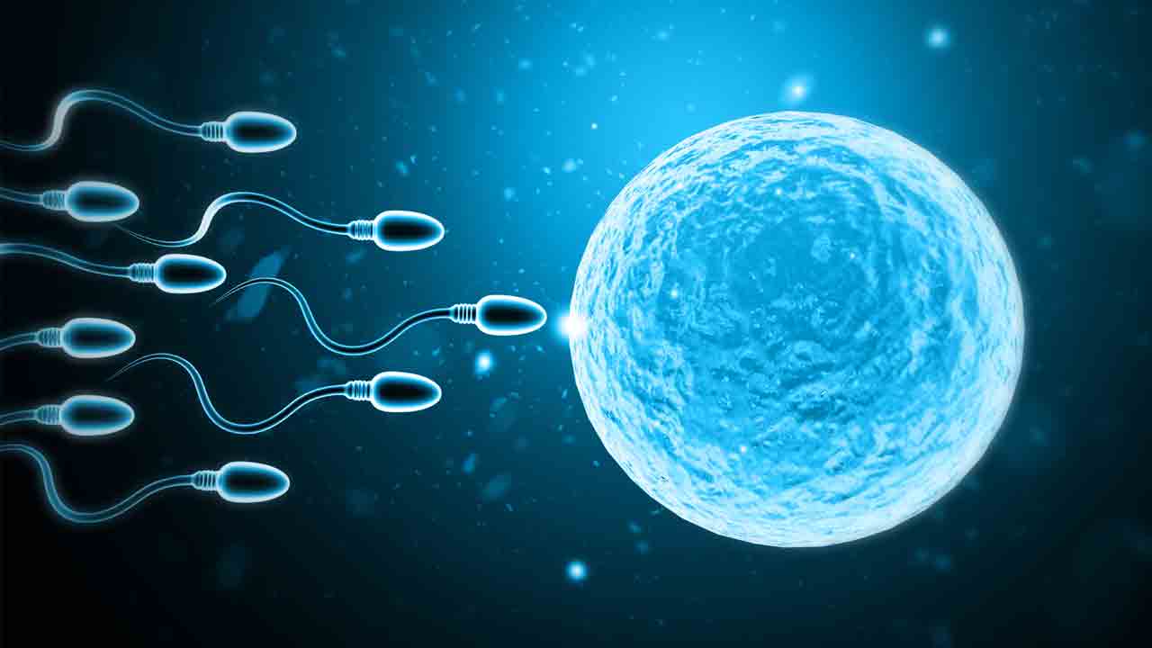 Fertility Problems | సంతానలేమికి కారు సీటూ కారణం కావొచ్చు!