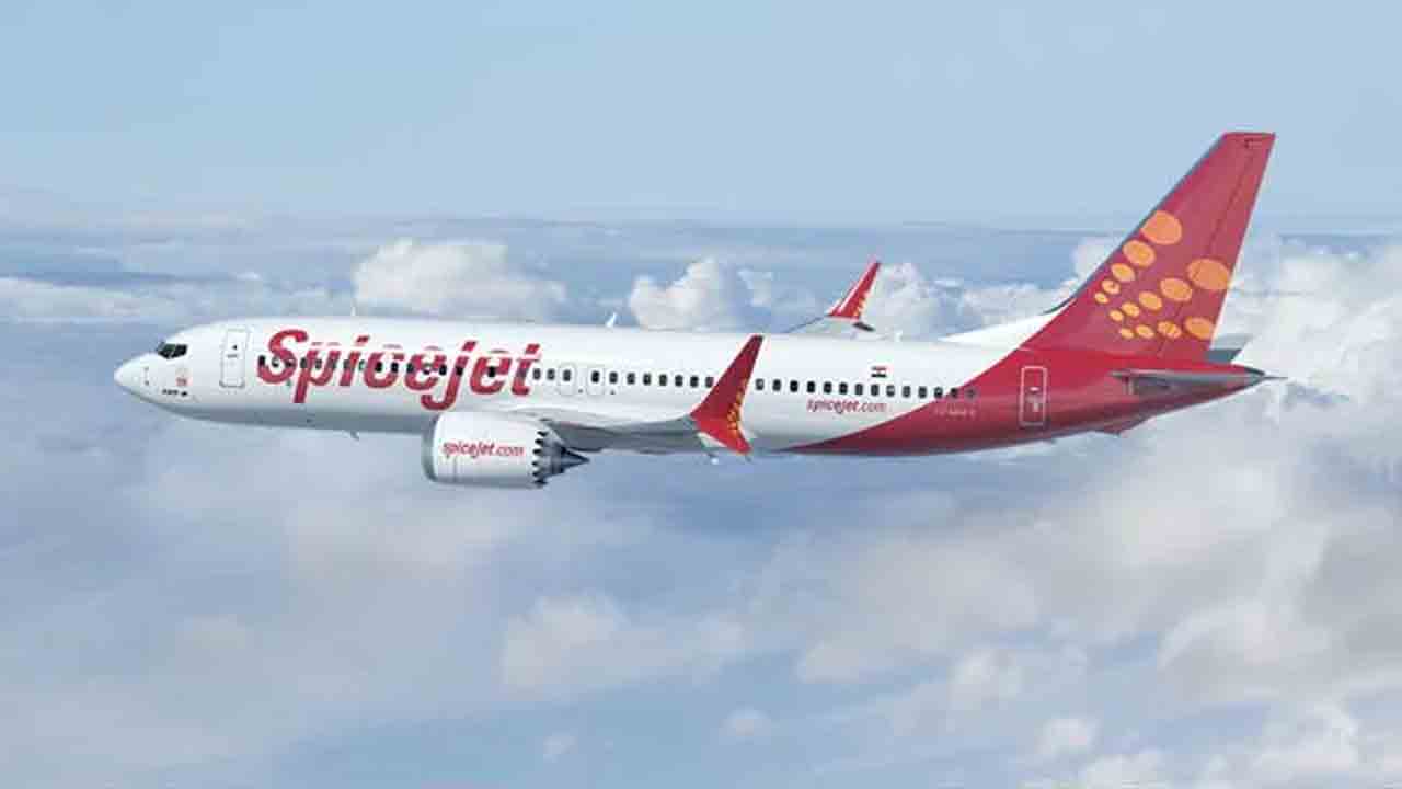 bird hits flight | విమానం ఇంజిన్‌ను ఢీకొట్టిన పక్షి.. వెనక్కి మళ్లింపు