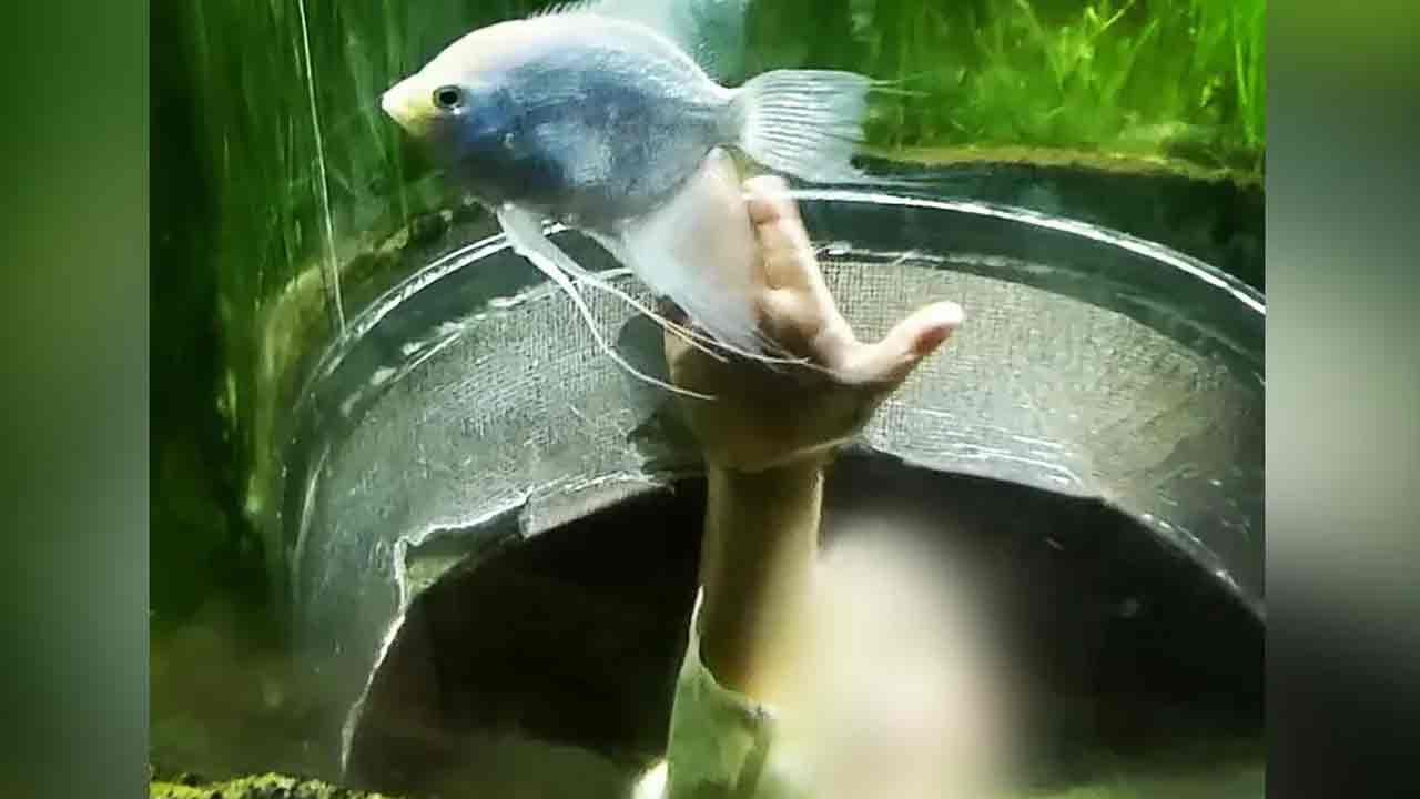 Suchana Seth: చంప‌డానికి 3 నెల‌ల ముందు.. కొడుకుపైనే ఇన్‌స్టాలో చివ‌రి పోస్టు