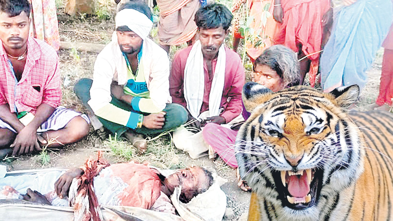 అడవిల్లో బతుకే పోరాటం