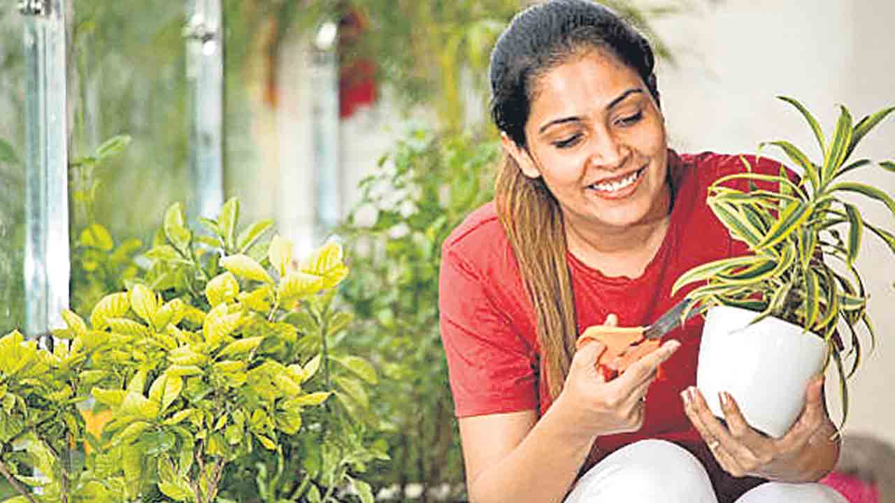 Greenery | పరిసరాల పచ్చదనం.. ఎముకలకు బలం!