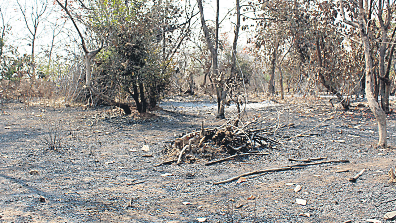 ప్రభుత్వం మారె.. ప్రలోభాలు మొదలాయె..
