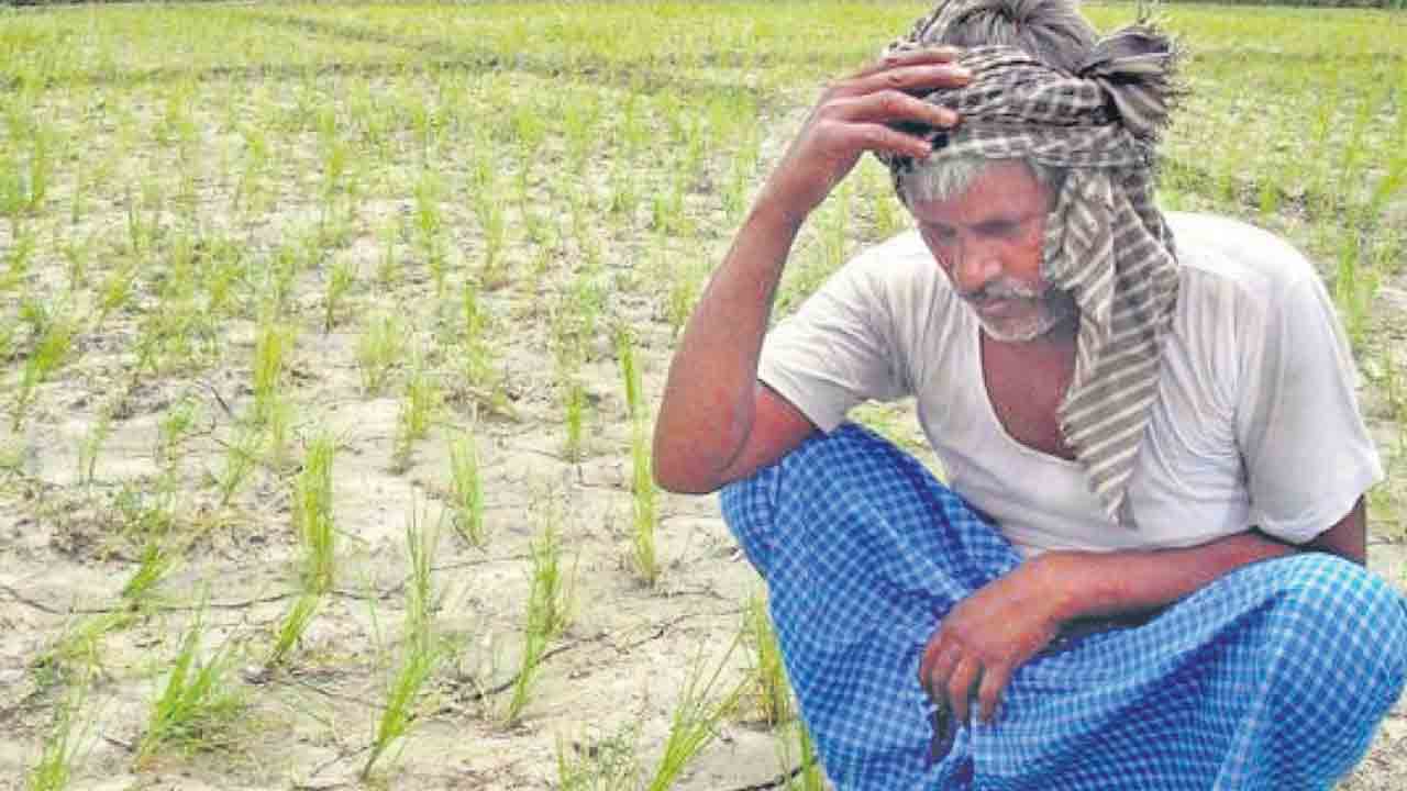 Telangana | అన్నదాతల బతుకు ఆగమాయె