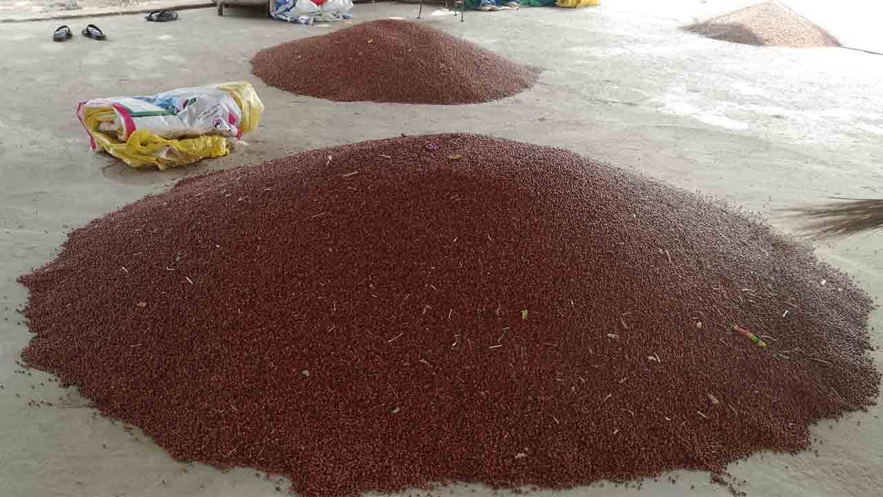 జోరుగా క్రయవిక్రయాలు