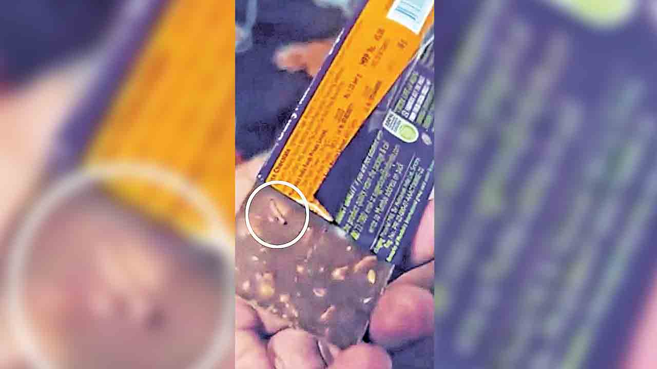 Cadbury Chocolate | క్యాడ్‌బరీ చాక్లెట్‌లో పురుగులు, వలలు.. జర భద్రం!