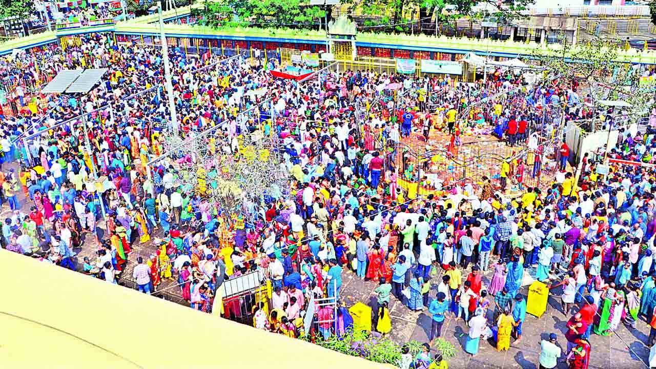 వనమంతా జనం