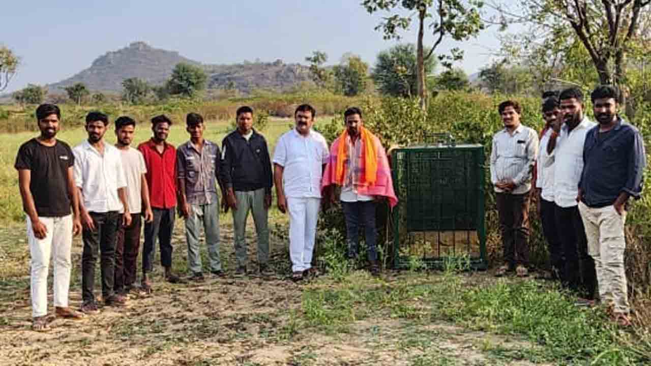 ఖిల్లా యువకుడి సాహసం