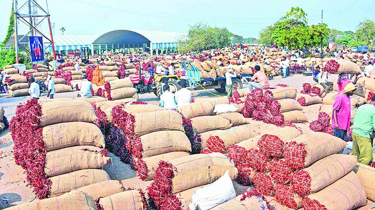 మిర్చి @30,918 బస్తాలు