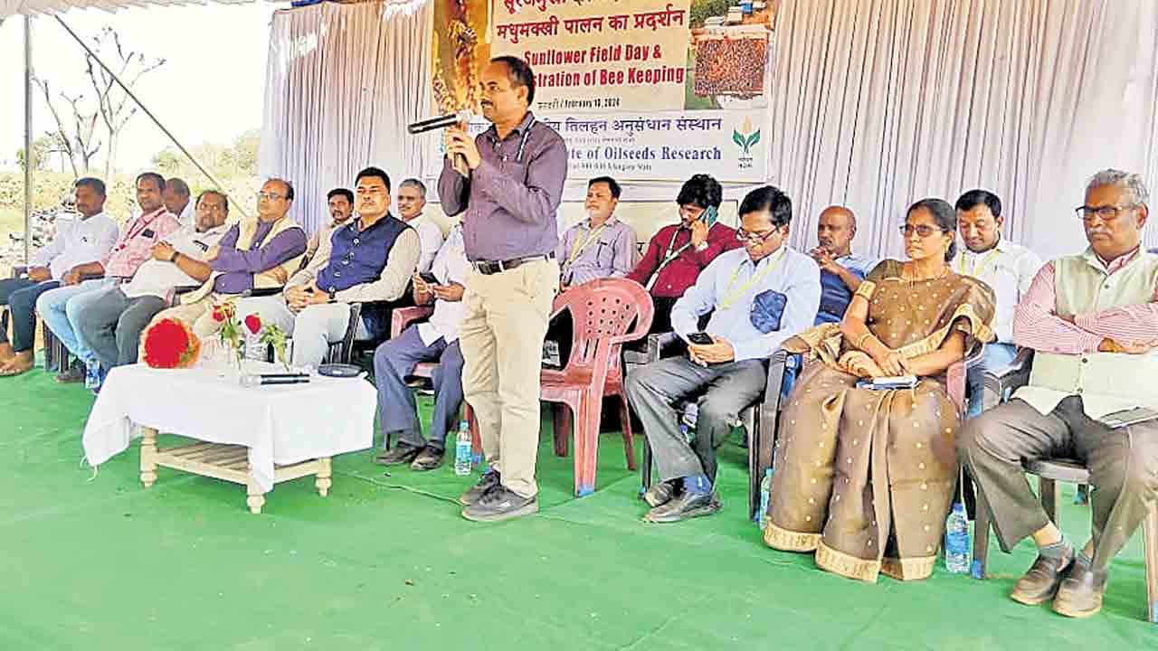 కొత్త వంగడాలు వినియోగించాలి