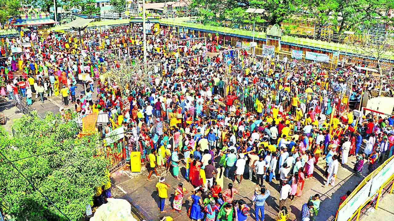 వనజాతరకు జనమే జనం