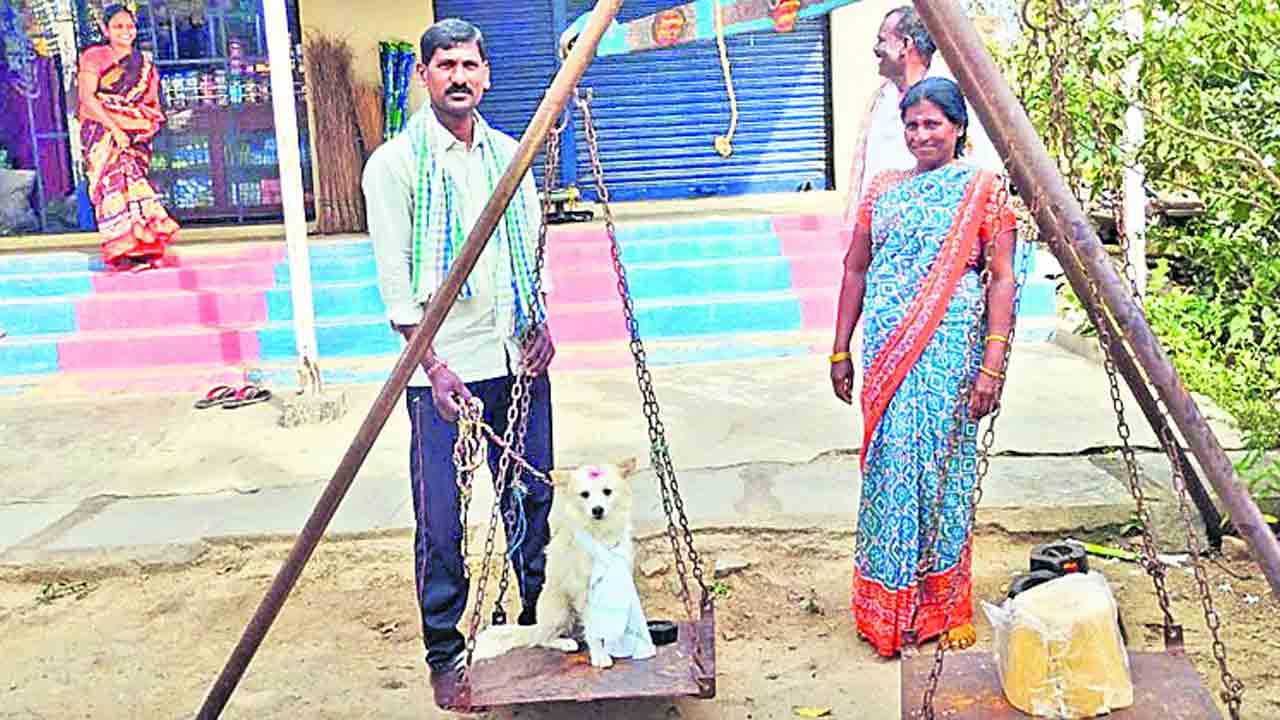 శునకం నిలువెత్తు బంగారం!