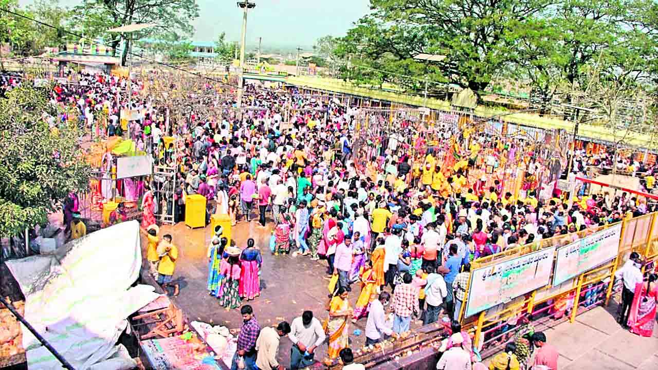 వనదేవతలకు నీరాజనం