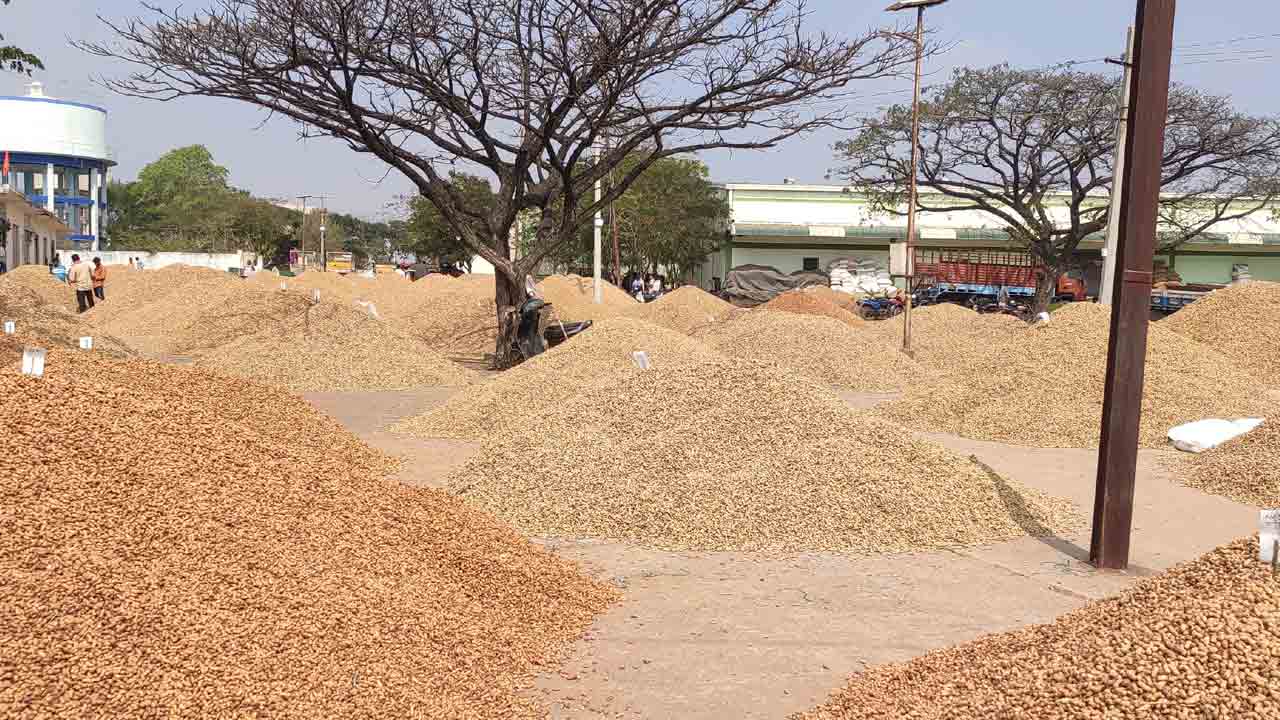 ఇష్టం ఉంటే అమ్మండి.. కష్టమైతే వెళ్లండి