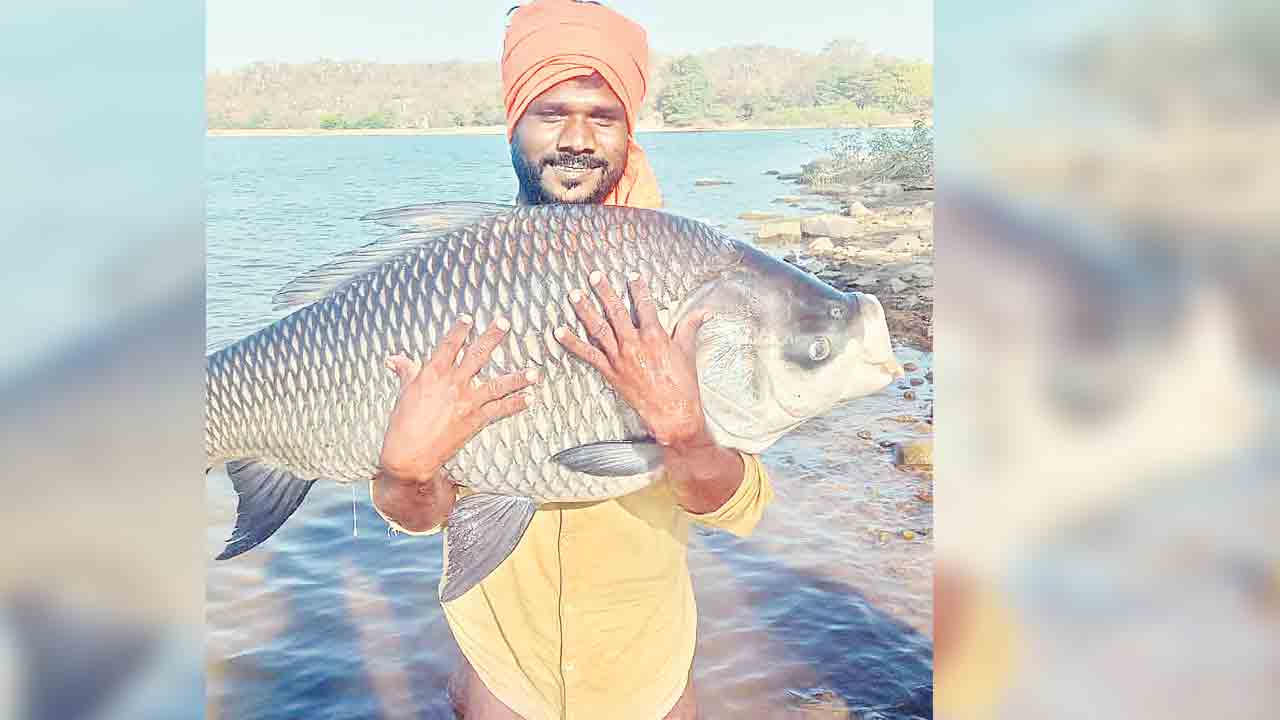 మీనం @ 21 కిలోలు