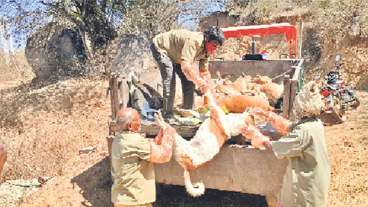 అర్ధరాత్రి హల్‌చల్‌