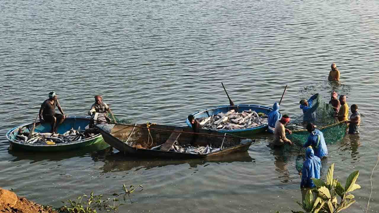 చెరువు మాధారంలో మూడోరోజూ నిలిచిన చేపల వేట