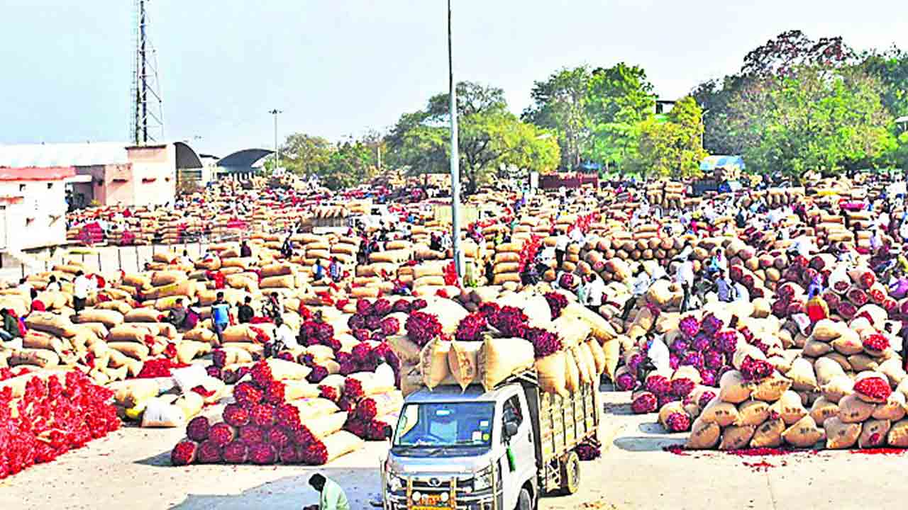 పోటెత్తిన ఎర్ర బంగారం