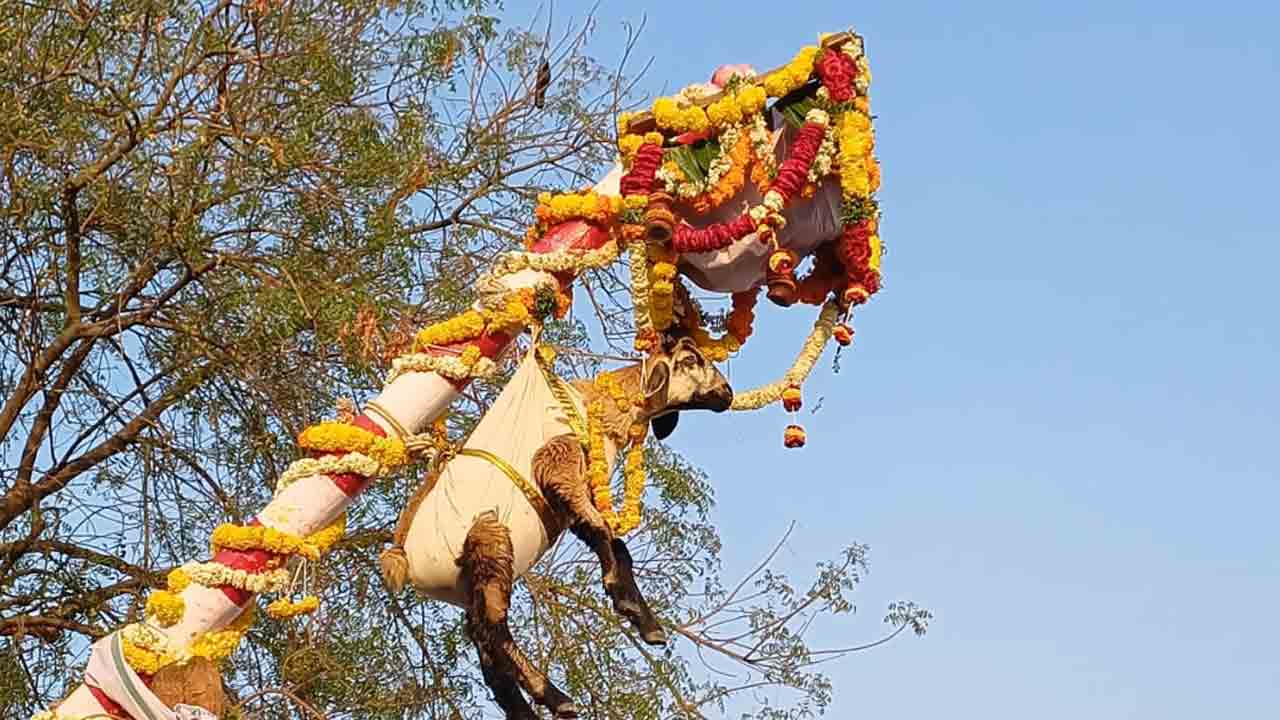అమ్మా బైలెల్లినాదో..