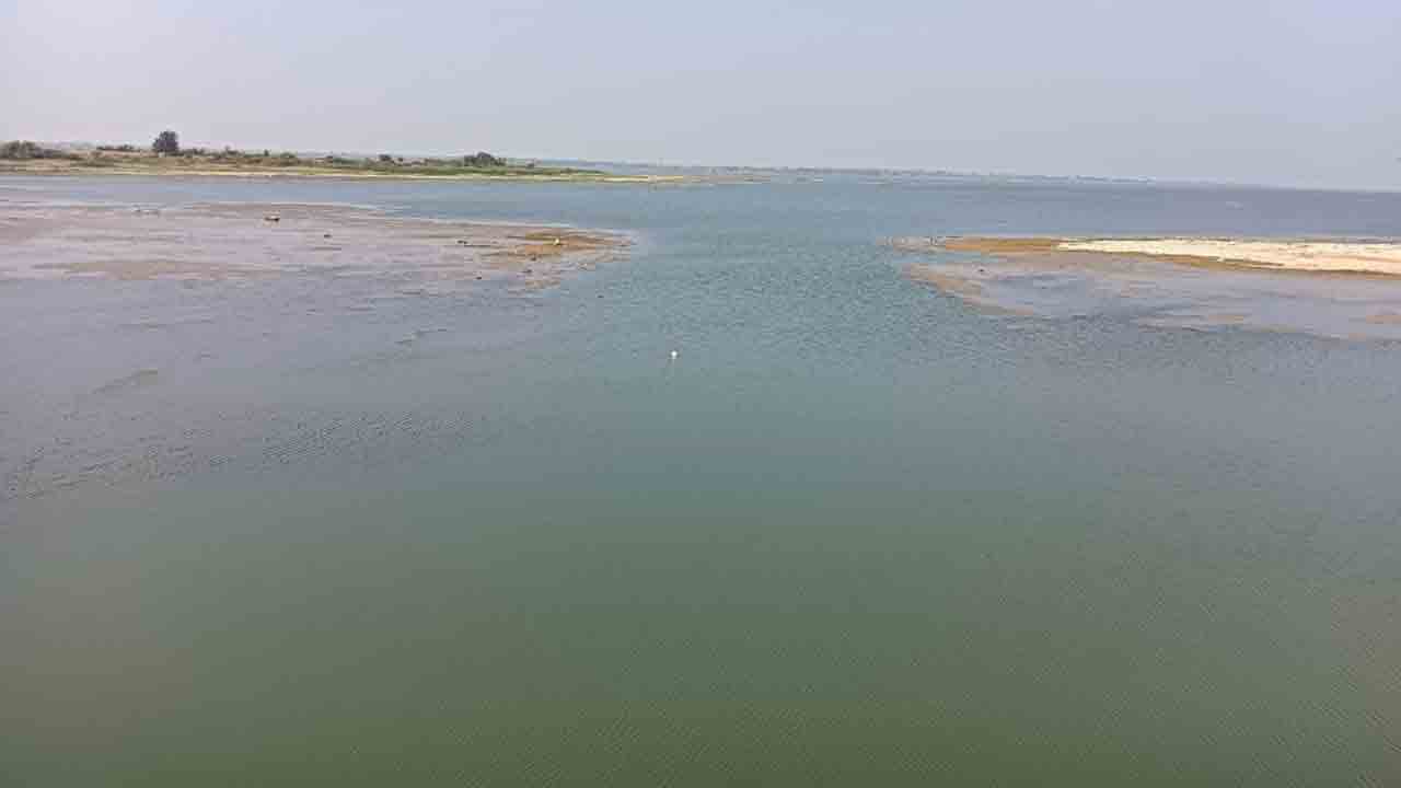 ఎండుతున్న పైర్లు