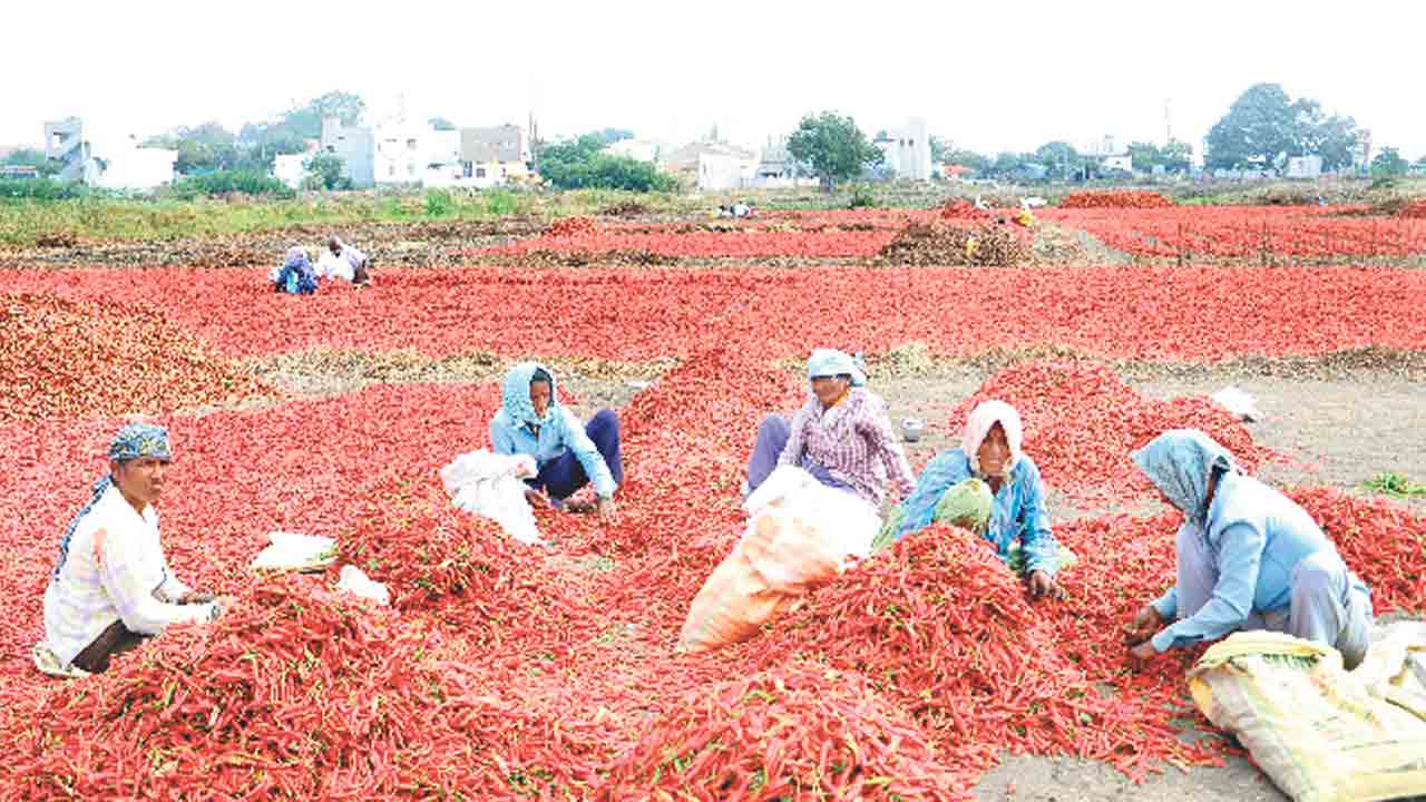 రైతు కంట్లో కారం