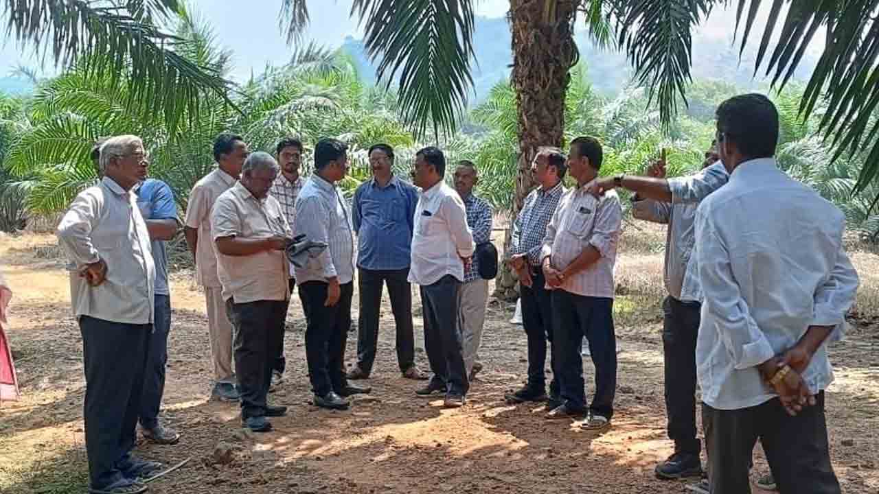 ‘ఆయిల్‌పాం’కు పర్యవేక్షణ ఆఫీసర్ల నియామకం