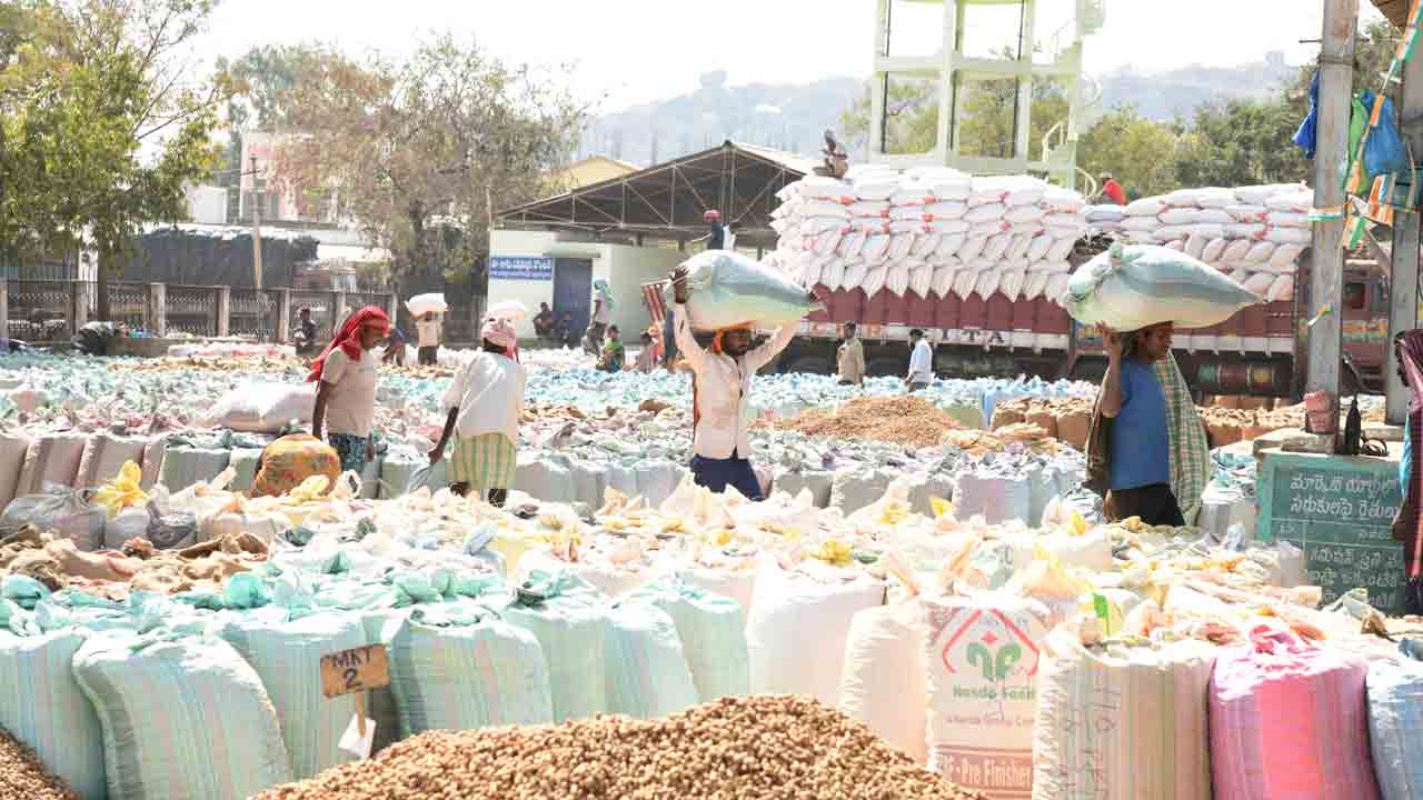 పోటెత్తిన వేరుశనగ